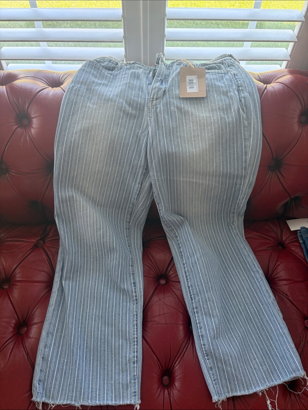 Joe's Jeans Light Blue and White Pinstripe Pants